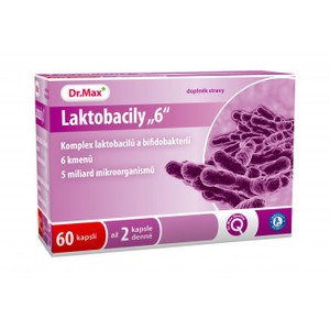 Laktobacily 6